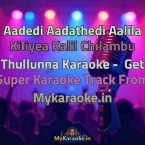 Aadedi Aadathedi Aalila Kiliyea Kalil Chilambu Thullunna  Karaoke - Get Super Karaoke Track from Mykaraoke.in