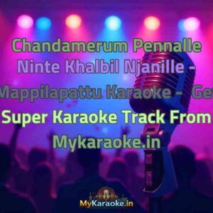 Chandamerum Pennalle Ninte Khalbil Njanille - Mappilapattu  Karaoke - Get Super Karaoke Track from Mykaraoke.in