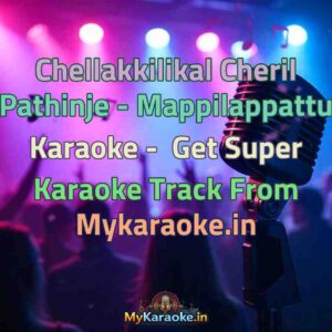 Chellakkilikal Cheril Pathinje - Mappilappattu  Karaoke - Get Super Karaoke Track from Mykaraoke.in