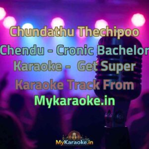 Chundathu Thechipoo Chendu - Cronic Bachelor  Karaoke - Get Super Karaoke Track from Mykaraoke.in