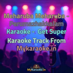 Meharuba Meharuba - Perumazhakkalam  Karaoke - Get Super Karaoke Track from Mykaraoke.in