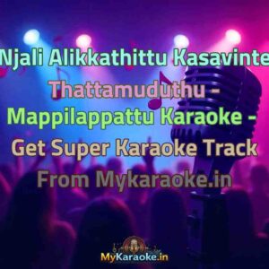 Njali Alikkathittu Kasavinte Thattamuduthu - Mappilappattu  Karaoke - Get Super Karaoke Track from Mykaraoke.in