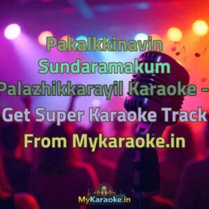 Pakalkkinavin Sundaramakum Palazhikkarayil  Karaoke - Get Super Karaoke Track from Mykaraoke.in