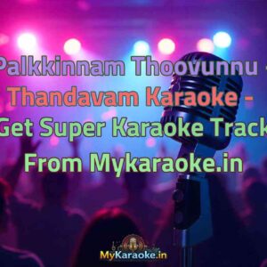 Palkkinnam Thoovunnu - Thandavam  Karaoke - Get Super Karaoke Track from Mykaraoke.in