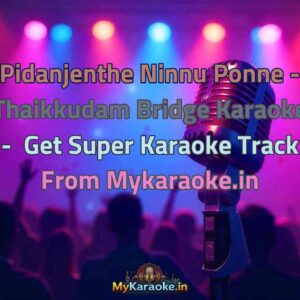 Pidanjenthe Ninnu Ponne - Thaikkudam Bridge  Karaoke - Get Super Karaoke Track from Mykaraoke.in
