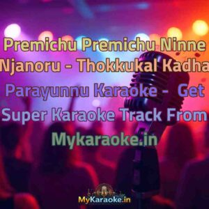 Premichu Premichu Ninne Njanoru - Thokkukal Kadha Parayunnu  Karaoke - Get Super Karaoke Track from Mykaraoke.in