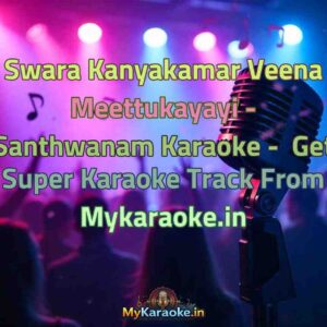 Swara Kanyakamar Veena Meettukayayi - Santhwanam  Karaoke - Get Super Karaoke Track from Mykaraoke.in
