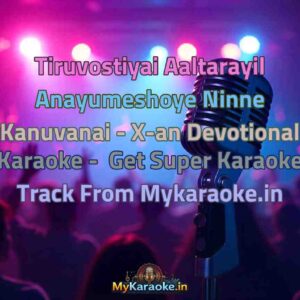 Tiruvostiyai Aaltarayil Anayumeshoye Ninne Kanuvanai - X-an Devotional  Karaoke - Get Super Karaoke Track from Mykaraoke.in